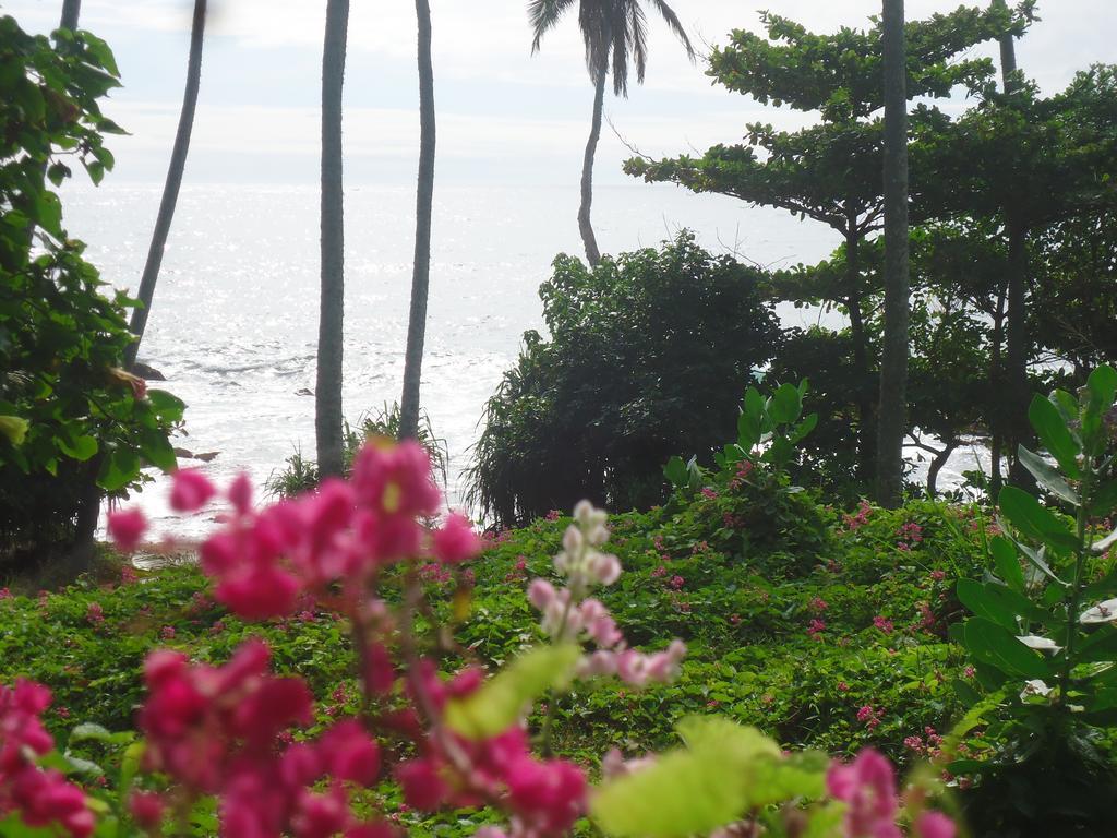 Masha Beach Inn Tangalle Exteriör bild